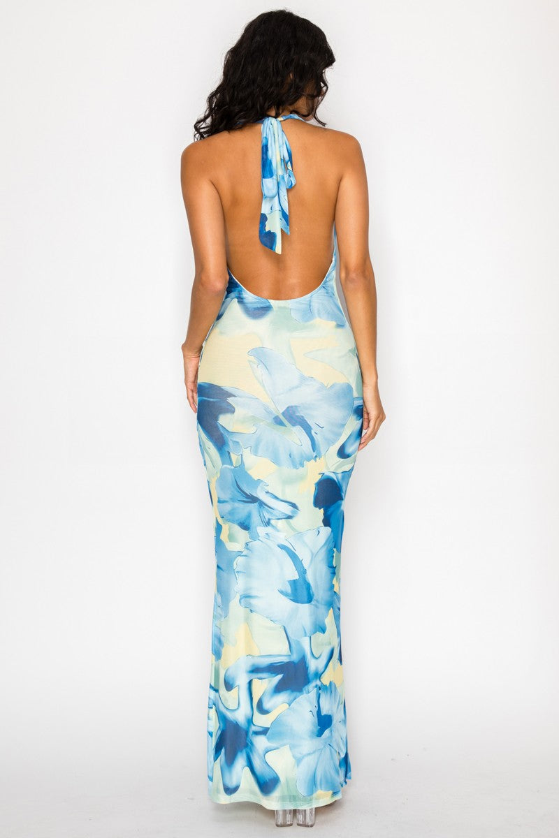Aurora Deep V Cowl Halter Neck Open Back Floral Mesh Maxi Dress