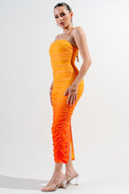 Bimini Ombre Print Mesh Bodycon Midi Dress