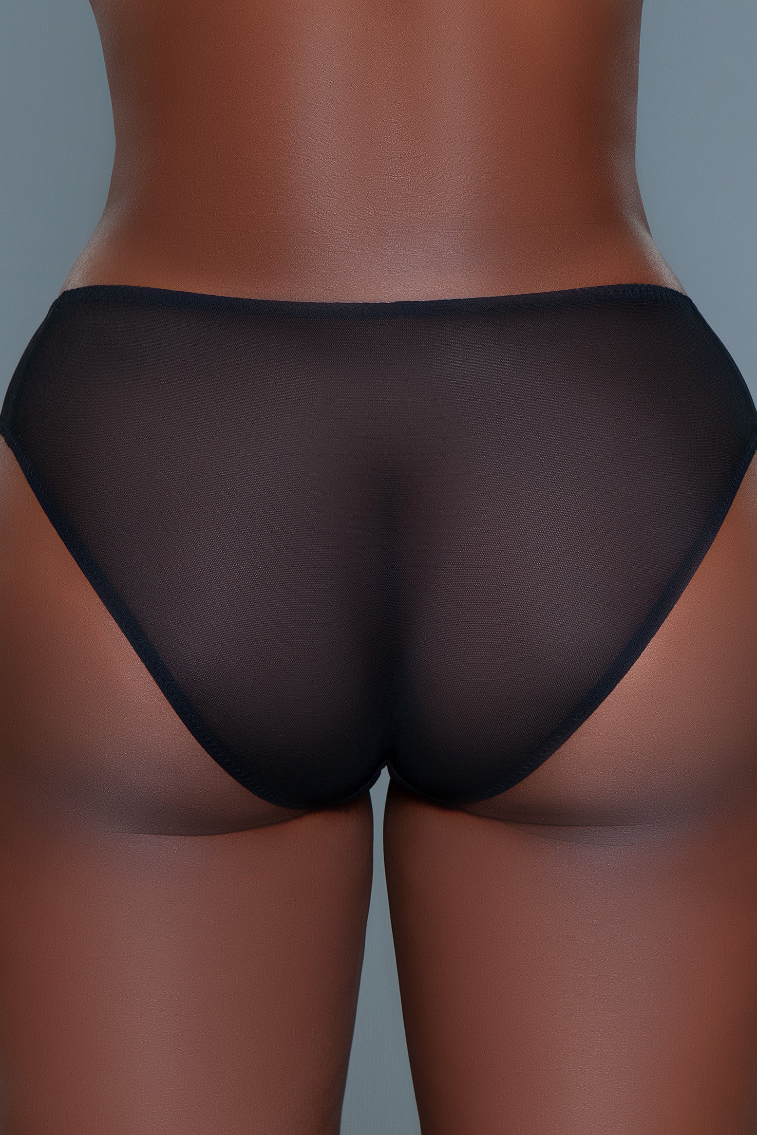 Love and Lace Low Rise Mesh Bikini Panty